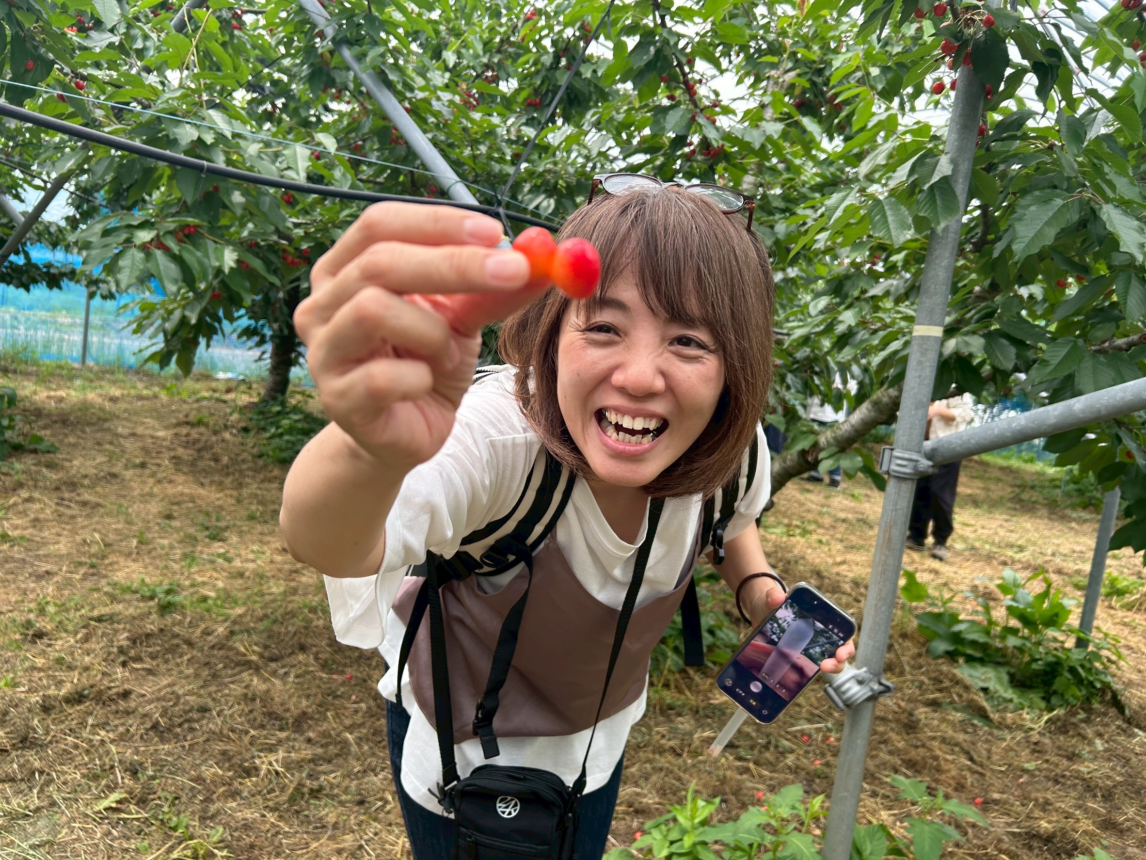 市川 晴子